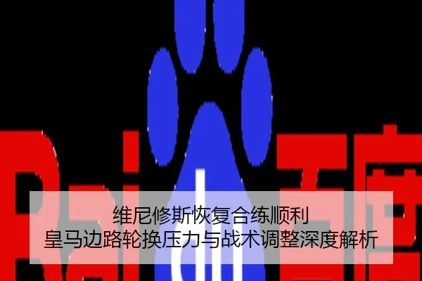 维尼修斯恢复合练顺利 皇马边路轮换压力与战术调整深度解析